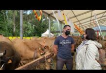 Entrevista a David García, ganadero de Pravia