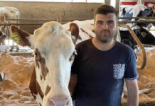 Ganadería Gorrello: “El confort de las vacas es dinero para el ganadero”