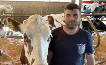 Ganadería Gorrello: “El confort de las vacas es dinero para el ganadero”
