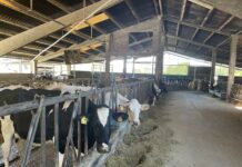 El Principado destina 130.000 euros a las ADSG de Asturias para el control de enfermedades