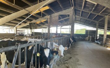 El Principado destina 130.000 euros a las ADSG de Asturias para el control de enfermedades