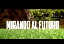 MIRANDO AL FUTURO. Situación del sector forestal en Asturias