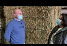 Entrevista a José Antonio Lorences, gerente de Almacenes Lorences