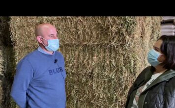 Entrevista a José Antonio Lorences, gerente de Almacenes Lorences