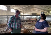 Entrevista a Gerardo Noval, responsable del Centro de Testaje de ASEAVA