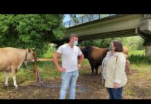 Entrevista a Samuel Ruso de Ganadería Los Valles de Corias (Pravia)