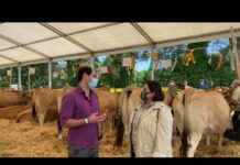 Entrevista a David Álvarez, alcalde de Pravia