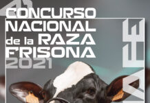 Asturias acogerá el 41º Concurso Nacional de la Raza Frisona CONAFE 2021