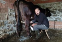 “Hay una desconexión terrible entre los pueblos y las ciudades”