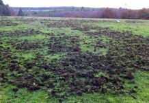 Más de 300.000 euros para reforzar el control de los daños de la fauna silvestre