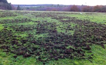 Más de 300.000 euros para reforzar el control de los daños de la fauna silvestre