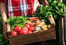 El 10 % de la superficie agraria en España ya es ecológica y supera los 2,4 millones de hectáreas en 2020