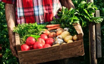 El 10 % de la superficie agraria en España ya es ecológica y supera los 2,4 millones de hectáreas en 2020