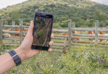 G.O. GELOB: «La revolución digital ha llegado al ganado para quedarse»