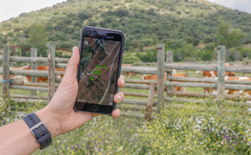 G.O. GELOB: «La revolución digital ha llegado al ganado para quedarse»
