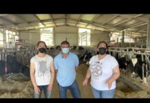 Entrevista en Ganadería Cernuda-Vizoso S.C. de Biescas (Valdés)