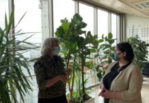 Entrevisa a Rocío Huerta Miguel, gerente del Banco de Tierras