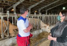 Entrevista a José Antonio Fernández del Oso, ganadero de Bustellán (Tineo)