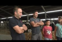 MIRANDO AL FUTURO 2021. Situación del vacuno de leche en Asturias