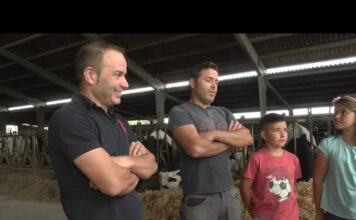 MIRANDO AL FUTURO 2021. Situación del vacuno de leche en Asturias