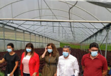 Medio Rural apoya las inversiones de modernización del proyecto hortícola Agrícola Casa Agustín, en Carreño