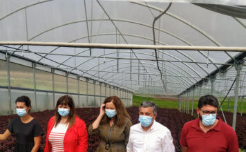 Medio Rural apoya las inversiones de modernización del proyecto hortícola Agrícola Casa Agustín, en Carreño