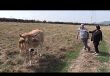 Entrevista a Tino González Solís, ganadero