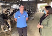 Entrevista a Manuel Suárez de Ganadería Casa Ferreiro de El Folgueiral (Vegadeo)