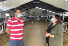 Entrevista a Salvador Suárez López de Ganadería Salbuco S.C. de Loza (Coaña)