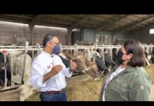 Entrevista a Gustavo González, responsable de rumiantes de leche de Nanta
