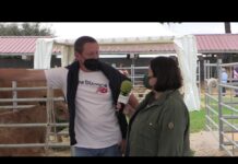 Benito Mingón, ganadero de Cangas del Narcea