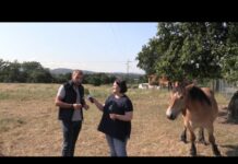 Entrevista a Adrián Lagar, presidente de ACGEMA