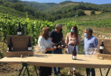 El Principado apoya un nuevo proyecto vinícola de la DOP Vino de Cangas en Ibias