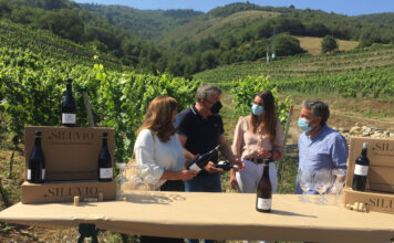 El Principado apoya un nuevo proyecto vinícola de la DOP Vino de Cangas en Ibias