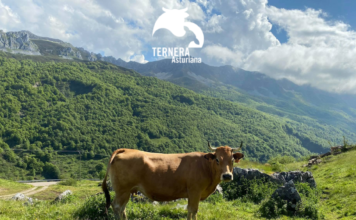 Ternera Asturiana: sostenibilidad y bienestar animal