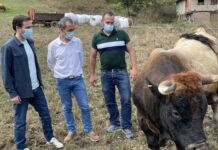 COAG y ASAJA consideran un lavado de imagen la visita de Garzón a una ganadería de Quirós