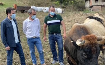 COAG y ASAJA consideran un lavado de imagen la visita de Garzón a una ganadería de Quirós