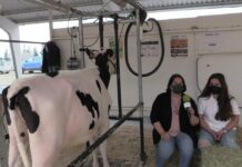 Entrevista a Noelia Ronderos de Ganadería Ronderos y García (Tineo)