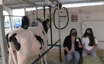 Entrevista a Noelia Ronderos de Ganadería Ronderos y García (Tineo)