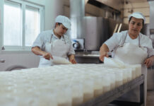 El sector quesero asturiano se vuelca en el International Cheese Festival