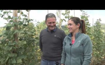 MIRANDO AL FUTURO. Situación del sector agrícola