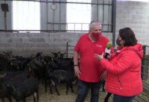 Entrevista a Jorge Castillo, veterinario y gerente de ACRIMUR