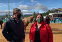 Entrevista a José Ramón Feito Lorences, alcalde de Tineo