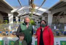 Entrevista a Emilio Martínez, presidente de ARPPA