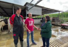 Discovery Collector de Lely: la limpieza, objetivo pendiente de las ganaderías