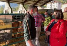 Entrevista a Manuel Fernández Espina