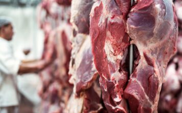 Matadero de Gijón: 1,5 millones de euros invertidos para dar el mejor servicio