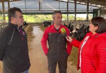 Entrevista en SAT Ceceño (Cantabria), una granja de producción láctea de referencia