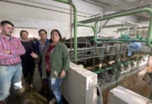 Entrevista en Ganadería Casa Jovino S.C. de Villanueva de Rañadoiro (Tineo)