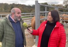 Entrevista a Ángel Rodríguez Castañón, secretario ejecutivo de ASEAMO